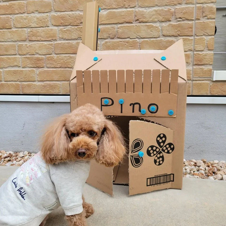 Explore Kit - Image 13